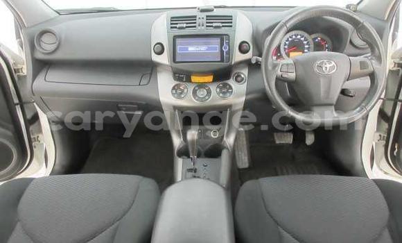 Buy Used Toyota RAV4 White Car in Omaruru in Erongo Buy Used Toyota RAV4 White Car in Omaruru in Erongo