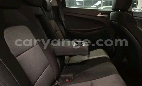 Buy Used Hyundai Tucson White Car in Gobabis in Omaheke Buy Used Hyundai Tucson White Car in Gobabis in Omaheke