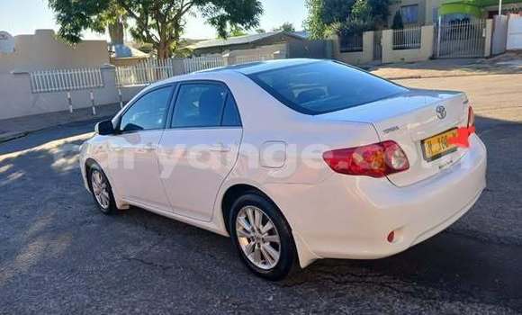 Acheter Occasion Voiture Toyota Corolla Blanc à Windhoek, Namibie