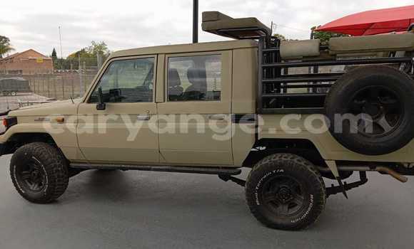 Buy Used Toyota Land Cruiser Brown Car in Grootfontein in Namibia