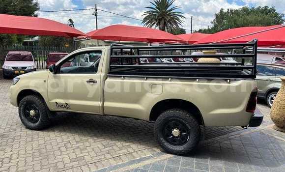 Buy Used Toyota Hilux Brown Car in Tsumeb in Oshikoto