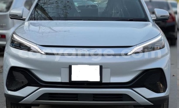 Buy Used BYD Atto3 White Car in Windhoek in Namibia