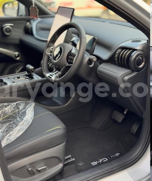 Big with watermark byd atto3 namibia windhoek 25484