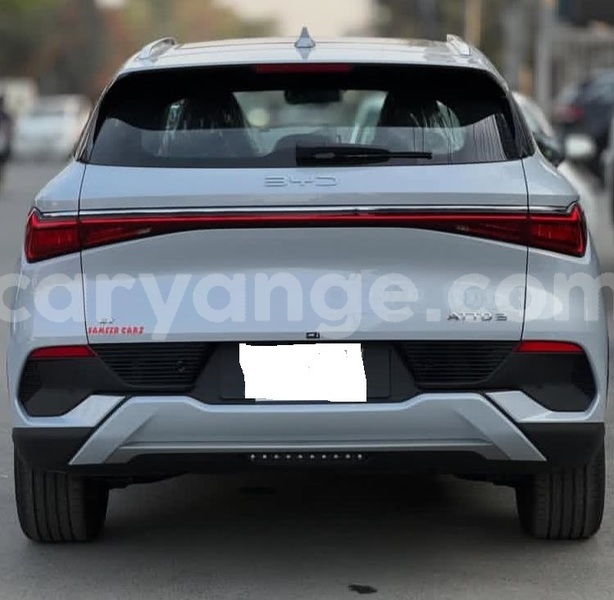 Big with watermark byd atto3 namibia windhoek 25484