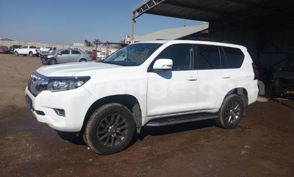 Buy Used Toyota Prado White Car in Swakopmund in Namibia