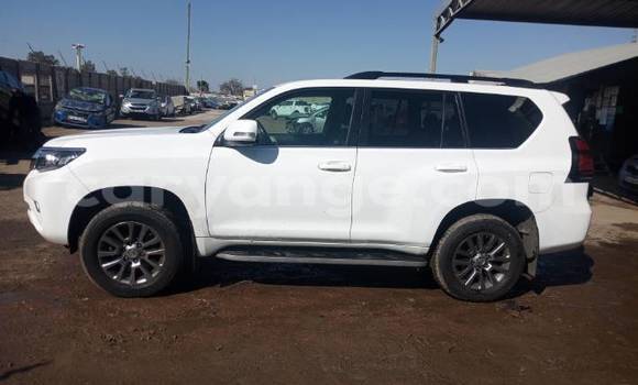 Buy Used Toyota Prado White Car in Swakopmund in Namibia Buy Used Toyota Prado White Car in Swakopmund in Namibia