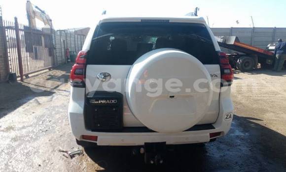 Buy Used Toyota Prado White Car in Swakopmund in Namibia Buy Used Toyota Prado White Car in Swakopmund in Namibia