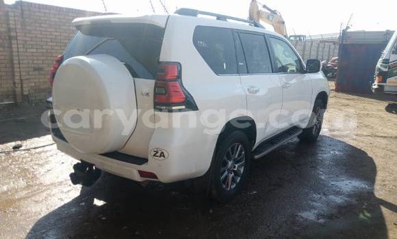 Buy Used Toyota Prado White Car in Swakopmund in Namibia Buy Used Toyota Prado White Car in Swakopmund in Namibia