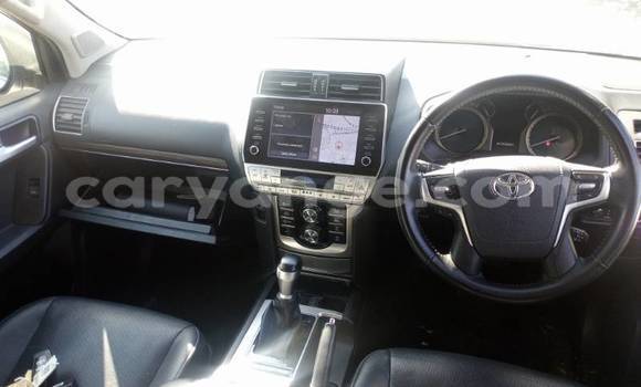 Buy Used Toyota Prado White Car in Swakopmund in Namibia Buy Used Toyota Prado White Car in Swakopmund in Namibia