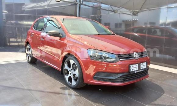 Buy Used Volkswagen Polo Red Car in Gobabis in Omaheke