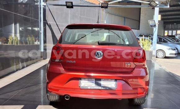 Acheter Occasion Voiture Volkswagen Polo Rouge à Gobabis, Omaheke Acheter Occasion Voiture Volkswagen Polo Rouge à Gobabis, Omaheke