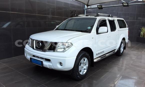 Buy Used Nissan Navara White Car in Gobabis in Omaheke
