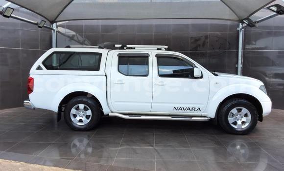 Acheter Occasion Voiture Nissan Navara Blanc à Gobabis, Omaheke Acheter Occasion Voiture Nissan Navara Blanc à Gobabis, Omaheke
