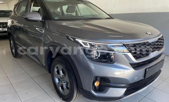 Buy Used Kia Sorento Silver Car in Gobabis in Omaheke Buy Used Kia Sorento Silver Car in Gobabis in Omaheke