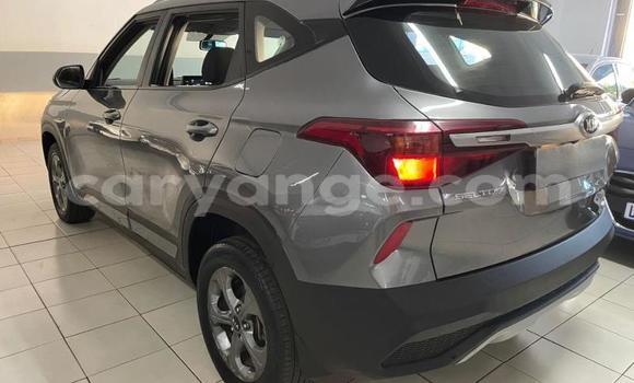 Buy Used Kia Sorento Silver Car in Gobabis in Omaheke Buy Used Kia Sorento Silver Car in Gobabis in Omaheke