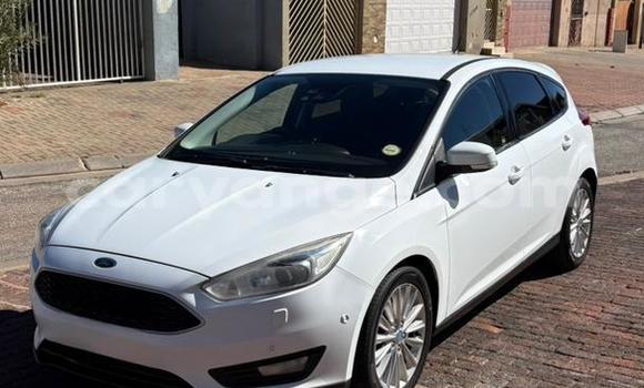 Buy Used Ford Focus White Car in Windhoek in Namibia
