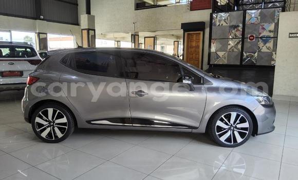 Buy Used Renault Clio Silver Car in Gobabis in Omaheke Buy Used Renault Clio Silver Car in Gobabis in Omaheke