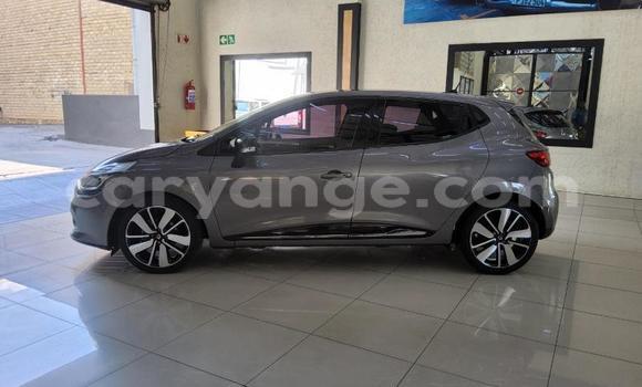Buy Used Renault Clio Silver Car in Gobabis in Omaheke Buy Used Renault Clio Silver Car in Gobabis in Omaheke