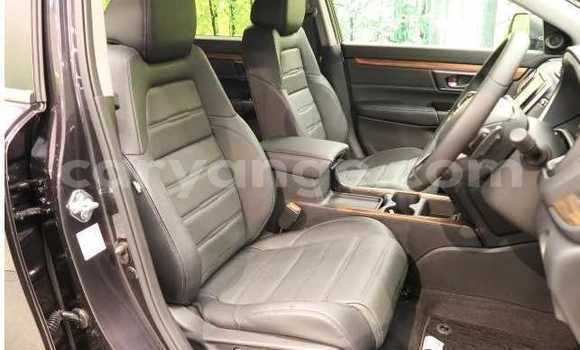 Buy Used Honda CR–V Black Car in Ongwediva in Oshana Buy Used Honda CR–V Black Car in Ongwediva in Oshana