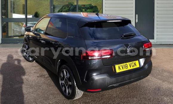Acheter Occasion Voiture Citroen C4 Cactus Noir à Otavi, Oshikoto Acheter Occasion Voiture Citroen C4 Cactus Noir à Otavi, Oshikoto