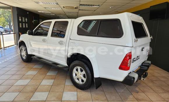 Buy Used Isuzu KB White Car in Windhoek in Namibia Buy Used Isuzu KB White Car in Windhoek in Namibia