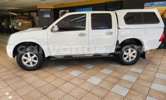 Buy Used Isuzu KB White Car in Windhoek in Namibia Buy Used Isuzu KB White Car in Windhoek in Namibia
