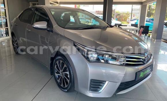 Buy Used Toyota Corolla Brown Car in Windhoek in Namibia Buy Used Toyota Corolla Brown Car in Windhoek in Namibia