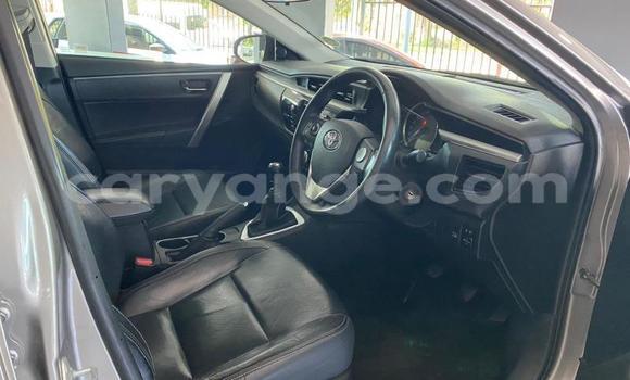 Buy Used Toyota Corolla Brown Car in Windhoek in Namibia Buy Used Toyota Corolla Brown Car in Windhoek in Namibia