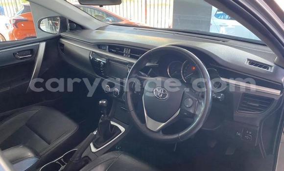 Buy Used Toyota Corolla Brown Car in Windhoek in Namibia Buy Used Toyota Corolla Brown Car in Windhoek in Namibia