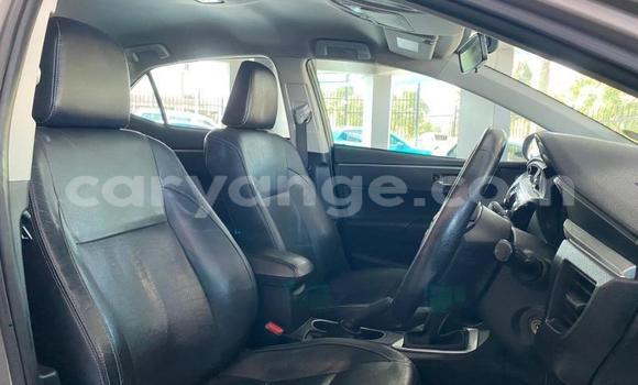 Buy Used Toyota Corolla Brown Car in Windhoek in Namibia Buy Used Toyota Corolla Brown Car in Windhoek in Namibia