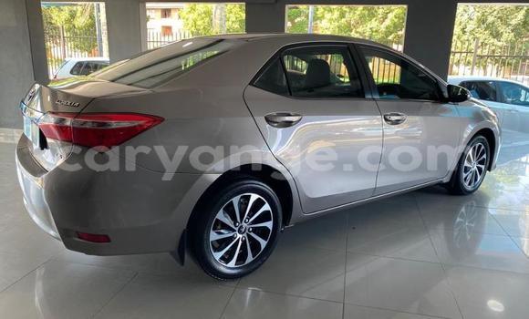 Buy Used Toyota Corolla Brown Car in Windhoek in Namibia Buy Used Toyota Corolla Brown Car in Windhoek in Namibia