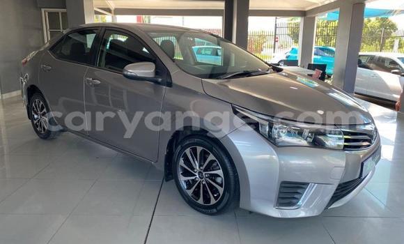 Buy Used Toyota Corolla Brown Car in Windhoek in Namibia Buy Used Toyota Corolla Brown Car in Windhoek in Namibia