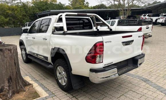 Buy Used Toyota Hilux White Car in Windhoek in Namibia Buy Used Toyota Hilux White Car in Windhoek in Namibia