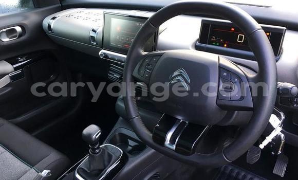 Buy Used Citroen C4 Cactus Blue Car in Grootfontein in Namibia Buy Used Citroen C4 Cactus Blue Car in Grootfontein in Namibia