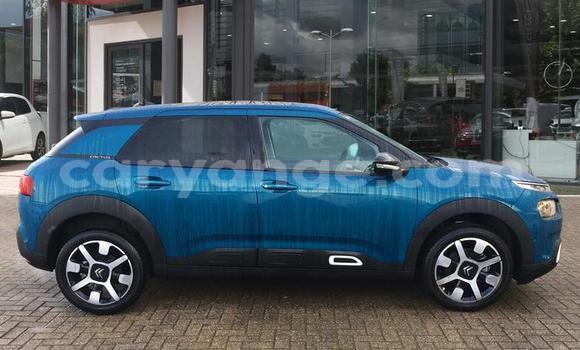 Buy Used Citroen C4 Cactus Blue Car in Grootfontein in Namibia Buy Used Citroen C4 Cactus Blue Car in Grootfontein in Namibia