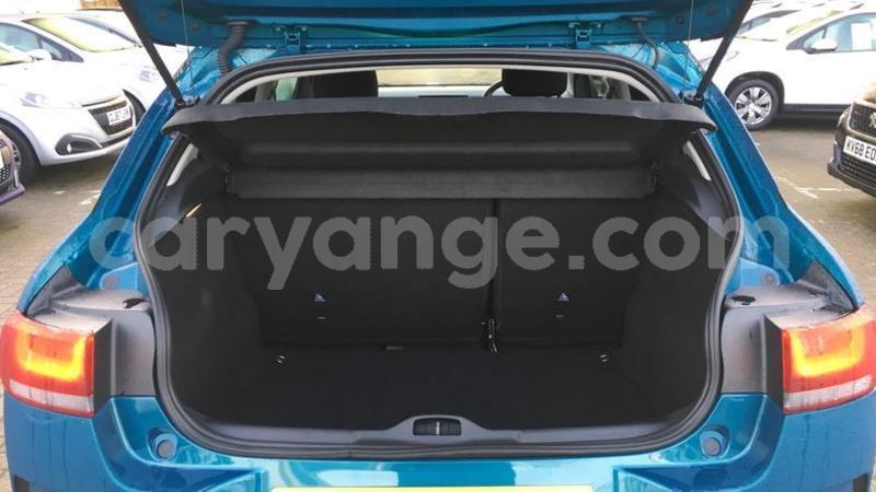 Big with watermark 2018 citroenc4 cactus 1.2 puretech flair 2