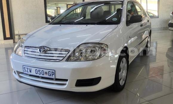 Buy Used Toyota Corolla White Car in Gobabis in Omaheke