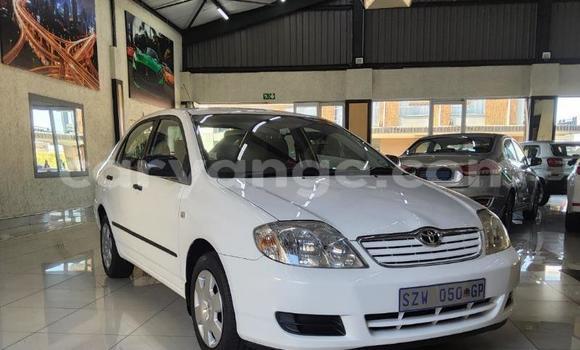 Buy Used Toyota Corolla White Car in Gobabis in Omaheke Buy Used Toyota Corolla White Car in Gobabis in Omaheke