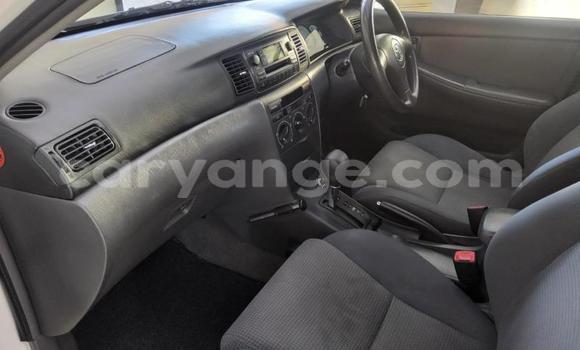 Buy Used Toyota Corolla White Car in Gobabis in Omaheke Buy Used Toyota Corolla White Car in Gobabis in Omaheke