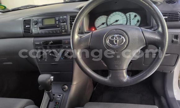 Buy Used Toyota Corolla White Car in Gobabis in Omaheke Buy Used Toyota Corolla White Car in Gobabis in Omaheke