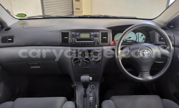 Buy Used Toyota Corolla White Car in Gobabis in Omaheke Buy Used Toyota Corolla White Car in Gobabis in Omaheke