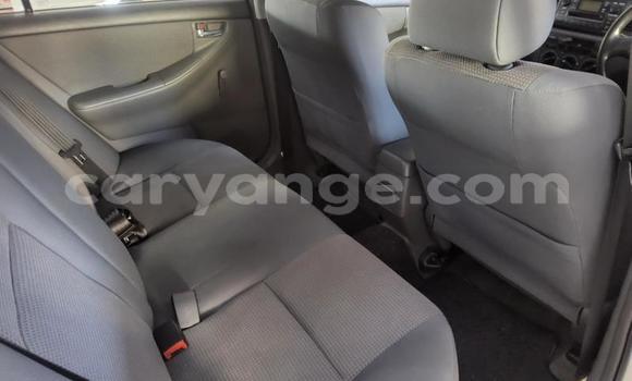 Buy Used Toyota Corolla White Car in Gobabis in Omaheke Buy Used Toyota Corolla White Car in Gobabis in Omaheke