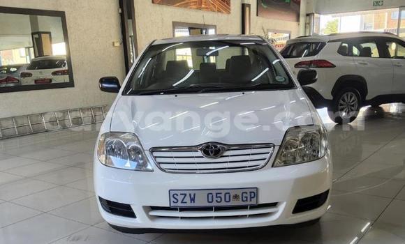 Buy Used Toyota Corolla White Car in Gobabis in Omaheke Buy Used Toyota Corolla White Car in Gobabis in Omaheke