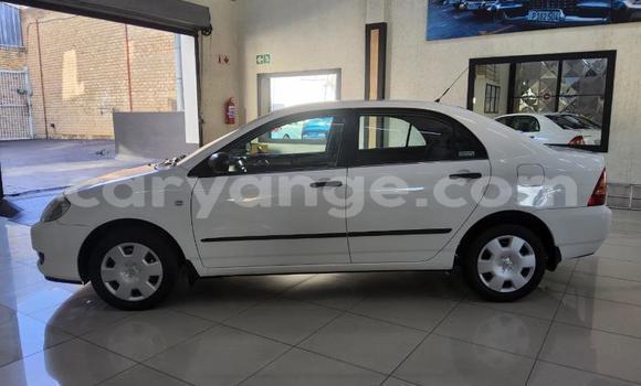 Buy Used Toyota Corolla White Car in Gobabis in Omaheke Buy Used Toyota Corolla White Car in Gobabis in Omaheke