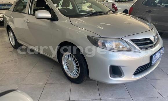 Buy Used Toyota Corolla Silver Car in Gobabis in Omaheke