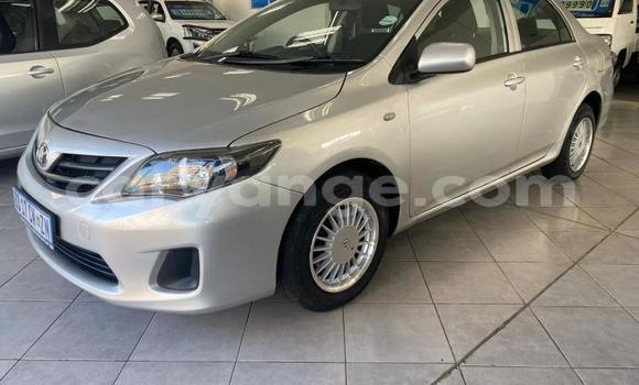 Buy Used Toyota Corolla Silver Car in Gobabis in Omaheke Buy Used Toyota Corolla Silver Car in Gobabis in Omaheke