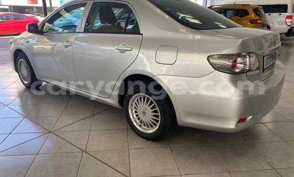 Buy Used Toyota Corolla Silver Car in Gobabis in Omaheke Buy Used Toyota Corolla Silver Car in Gobabis in Omaheke