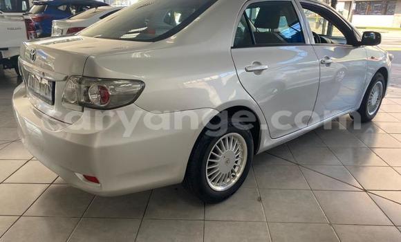 Buy Used Toyota Corolla Silver Car in Gobabis in Omaheke Buy Used Toyota Corolla Silver Car in Gobabis in Omaheke