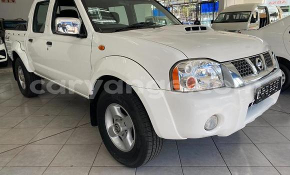 Buy Used Nissan NP 300 White Car in Gobabis in Omaheke