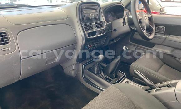 Buy Used Nissan NP 300 White Car in Gobabis in Omaheke Buy Used Nissan NP 300 White Car in Gobabis in Omaheke